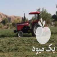 آگهی مشابه خریدارحواله 475 جفت یا 399 جفت هستم در کازرون در گروه خرید فروش ماشین آلات کشاورزی - تراکتور تیلر کمباین مدرن در یکمیوه