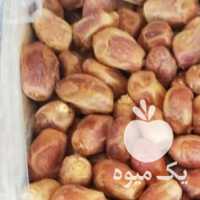 آگهی مشابه فروش خرماکبکاب خرما زاهدی و رطب در تهران در گروه خرید فروش عمده خرما - کبکاب تازه زاهدی خشک خارک در یکمیوه