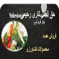 آگهی مشابه حق العمل کاری بارفروشی رحیمی عرضه مستقیم محصولات کشاورزی میدان تره بار مرکزی تهران در گروه حق العمل کاری محصولات کشاورزی و دامداری خدمات کارمزد در یکمیوه