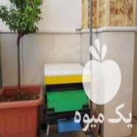 آگهی مشابه فروش کندویی زنبور عسل مدرن در تهران در گروه زنبورعسل - زنبورداری نوین صنعتی مدرن کندو در یکمیوه