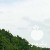 آگهی مشابه فروش سیب زمینی بذری در اردبیل در گروه خرید فروش عمده سیب زمینی - زودرس دیررس آگریا اسپریت اردبیل همدان در یکمیوه