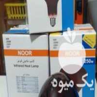 آگهی مشابه فروش لامپ مادون قرمز یا مادر مصنوعی در شیراز در گروه مرغ و خروس و بوقلمون و اردک قو قاز در یکمیوه