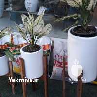 آگهی مشابه فروش خاک خاک کشاورزی و باغبانی در تهران در گروه خرید فروش کود و مواد شیمیایی - اوره پتاس مرغی کمپوست آهن در یکمیوه