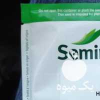 آگهی مشابه فروش انواع بذر گوجه و نهال انگور در قزوین در گروه خرید فروش بذر - انواع محصول کشاورزی گوجه کتان میوه درخت در یکمیوه