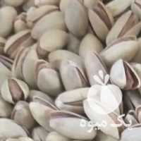 آگهی مشابه فروش پسته اجیلی امسالی ارگانیک در یزد در گروه پسته - کوهی شامی خام اکبری تازه کله قوچی در یکمیوه