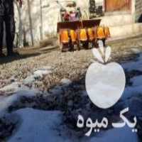 آگهی مشابه فروش دستگاه وجین کن برنج کشاورزی در رشت در گروه خرید فروش ابزار ها و تجهیزات کشاورزی - دستی برقی ماشینی بیل کلنگ در یکمیوه