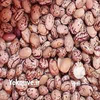 آگهی مشابه فروش محصول کشاورزی حبوبات در خرم آباد در گروه خرید و فروش عمده انواع محصولات کشاورزی و دامداری در یکمیوه