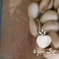 آگهی مشابه فروش پسته رفسنجان به صورت عمده در قزوین در گروه آجیل - فروش عمده محصولات در یکمیوه