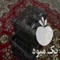 آگهی مشابه فروش سبد 12 کیلویی میوه مشکی در شیراز در گروه خرید فروش انواع سبد - میوه پلاستیکی چوبی گل در یکمیوه