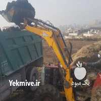 آگهی مشابه فروش کود کود حیوانی در تهران در گروه خرید فروش کود و مواد شیمیایی - اوره پتاس مرغی کمپوست آهن در یکمیوه