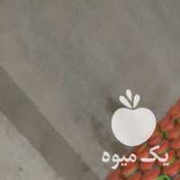 آگهی مشابه فروش شیره خرما دوشاب سنتی در تهران در گروه عسل شیره و فرآورده ی مربا - طبیعی گون کوهی آویشن در یکمیوه