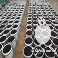 آگهی مشابه فروش پخش مستقیم شیره انگور رب انار در اردبیل در گروه انواع رب - گوجه انار نارنج خانگی سیب عمده در یکمیوه