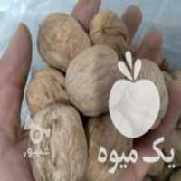 آگهی مشابه فروش بازرگانی نهالستان نمونه تخصصی زرین نهال در میاندوآب در گروه خرید فروش نهال - انواع گردو پسته بادام سلطانی انگور در یکمیوه