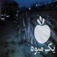 آگهی مشابه فروش عمده انواع تخته پالتی و  و چوب خام در خلخال در گروه خرید فروش عمده چوب- زغال چوب گردو تبریزی خام در یکمیوه