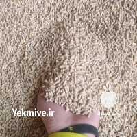 آگهی مشابه فروش خوراک دام و طیور خوراک طیور در تهران در گروه خوراک دام و طیور - پرواری شیری علوفه یونجه در یکمیوه