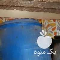 آگهی مشابه فروش دبه زیتون برنج در رشت در گروه خرید فروش عمده برنج - نیم دانه عنبر بو هاشمی کاظمی هندی پاکستانی در یکمیوه