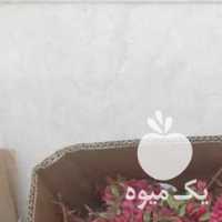 آگهی مشابه فروش زرشک قاعنات در مشهد در گروه خرید فروش عمده ازگیل و تمشک و زرشک - ژاپنی فروش مستقیم در یکمیوه
