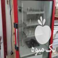 فروش دستگاه جوجه کشی در مشهد در گروه تجهیزات دام و طیور - خرید فروش نو دسته دوم در یکمیوه