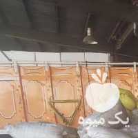 فروش سلطان کشمش افتابی و سایه خشک بار جدید رسید در تهران در گروه آجیل - فروش عمده محصولات در یکمیوه