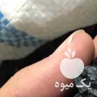 فروش کشمش و مویز عمده وخورده  در شیراز در گروه آجیل - فروش عمده محصولات در یکمیوه