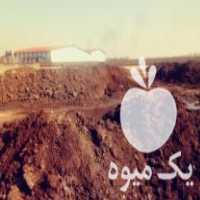 فروش کود حیوانی در کرج در گروه خرید فروش کود و مواد شیمیایی - اوره پتاس مرغی کمپوست آهن در یکمیوه