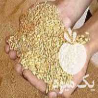 خرید و جو گندم دان مرغ و طیور عمده و خرده علافی احمدی در اردبیل در گروه خرید فروش عمده گندم و جو - بلغور شیرازی فروش عمده محصول کشاورزی در یکمیوه