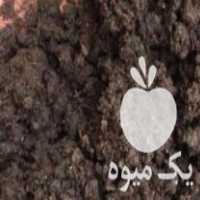 فروش کود حیوانی خاک در سنگر در گروه خرید فروش کود و مواد شیمیایی - اوره پتاس مرغی کمپوست آهن در یکمیوه