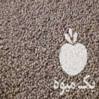 فروش سویا رقم آریان _ ال 17 _جی پکس در اردبیل در گروه خرید فروش عمده سویا - خوراکی تیم اسپانیول روغن در یکمیوه