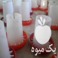فروش وسایل مرغداری در آزادشهر در گروه تجهیزات دام و طیور - خرید فروش نو دسته دوم در یکمیوه