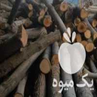 خرید و فروش انواع چوب صنوبر بید گردو ضایعات ریشه در مشگین شهر در گروه خرید فروش عمده چوب- زغال چوب گردو تبریزی خام در یکمیوه