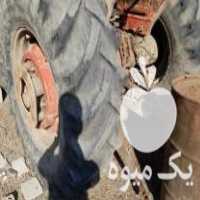 فروش تراکتور 185 انگلیس با ادوات در قائم شهر در گروه خرید فروش ماشین آلات کشاورزی - تراکتور تیلر کمباین مدرن در یکمیوه