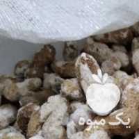 فروش پخش عمده انواع گردو کاغذی و سوزنی و بادام زمینی در تهران در گروه بادام - درختی کوهی زمینی فروش عمده در یکمیوه