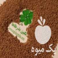 فروش بذر یونجه انواع رقمها رنجر آمریکایی همدانی نیکشهری بغدادی در ایلخچی در گروه خرید فروش بذر - انواع محصول کشاورزی گوجه کتان میوه درخت در یکمیوه