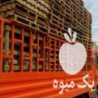 خرید و فروش پالت چوبی و ضایعات تخته پالت سه لایی نوپان وغیره در اسلامشهر در گروه خرید و فروش عمده انواع محصولات کشاورزی و دامداری در یکمیوه