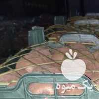 فروش 8 تن کیوی صادراتی در آستارا در گروه خرید فروش عمده کیوی - صادراتی مازندران تنکابن تالش در یکمیوه