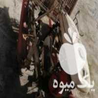 فروش نشاکار ژاپن در ساری در گروه خرید فروش نشا - انواع گوجه برنج کاهو پیاز کاری فرنگی در یکمیوه