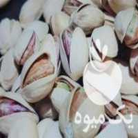 فروش پسته درجه یک عمده در تجریش در گروه پسته - کوهی شامی خام اکبری تازه کله قوچی در یکمیوه