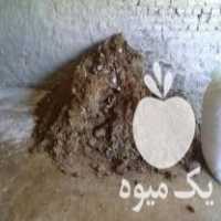 فروش کود حیوانی گسفندی در بهشهر در گروه خرید فروش عمده گیاهان زینتی - گرمسیری آپارتمانی باغچه آب در یکمیوه