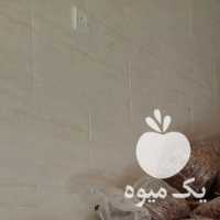 فروش عمده خرمای بدون هسته در تهران در گروه خرید فروش عمده خرما - کبکاب تازه زاهدی خشک خارک در یکمیوه