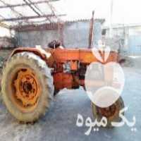 فروش تراکتور رومانی ، مدل 65 در کردکوی در گروه خرید فروش ماشین آلات کشاورزی - تراکتور تیلر کمباین مدرن در یکمیوه