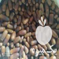 فروش بلوط  در فاضل آباد در گروه خوراک دام و طیور - پرواری شیری علوفه یونجه در یکمیوه