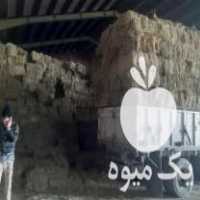 فروش مغان یونجه در هشتگرد در گروه خوراک دام و طیور - پرواری شیری علوفه یونجه در یکمیوه