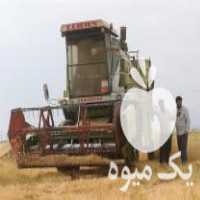 فروش کمباین سهند کاهکوب در همدان در گروه خرید فروش ماشین آلات کشاورزی - تراکتور تیلر کمباین مدرن در یکمیوه