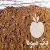 فروش کود مرغ کود حیوانی گوسفند در اردبیل در گروه خرید فروش کود و مواد شیمیایی - اوره پتاس مرغی کمپوست آهن در یکمیوه