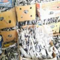 فروش پخش زغال پسته سفید و سیاه در زیباشهر در گروه خرید فروش عمده چوب- زغال چوب گردو تبریزی خام در یکمیوه