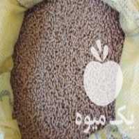 فروش دانه پارس دانه ذرتی روغن دامی در فاضل آباد در گروه انواع روغن - آفتابگردان کنجد سویا در یکمیوه