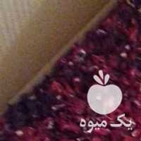 فروش چای ترش گل پنیرک آلو خورشتی در تهران در گروه خرید فروش عمده گیاهان زینتی - گرمسیری آپارتمانی باغچه آب در یکمیوه