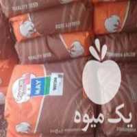 فروش بذر پنبه مای ترکیه 344 تاریخ 2020 در خان ببین در گروه خرید فروش بذر - انواع محصول کشاورزی گوجه کتان میوه درخت در یکمیوه
