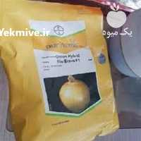 فروش بذر پیاز زرد ریو براوو در تهران در گروه خرید فروش عمده پیاز - قرمز سفید زرد ترشی تازه انباری در یکمیوه