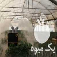 فروش دستگاه مه ساز التراسونیک 9000 مناسب برای 500 متر مکعب در تهران در گروه خرید فروش ابزار ها و تجهیزات کشاورزی - دستی برقی ماشینی بیل کلنگ در یکمیوه